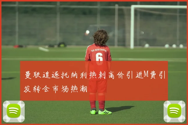 曼联追逐托纳利热刺高价引进M费引发转会市场热潮